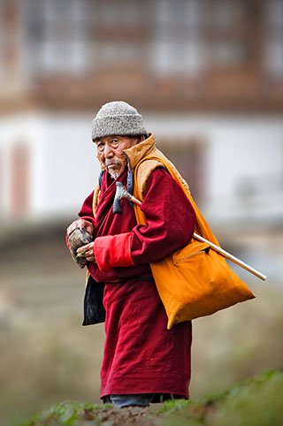 Born Explorer Brochure